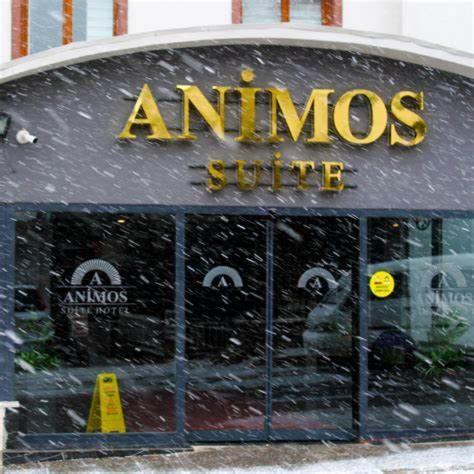 أنقرة Animos Butik Otel المظهر الخارجي الصورة